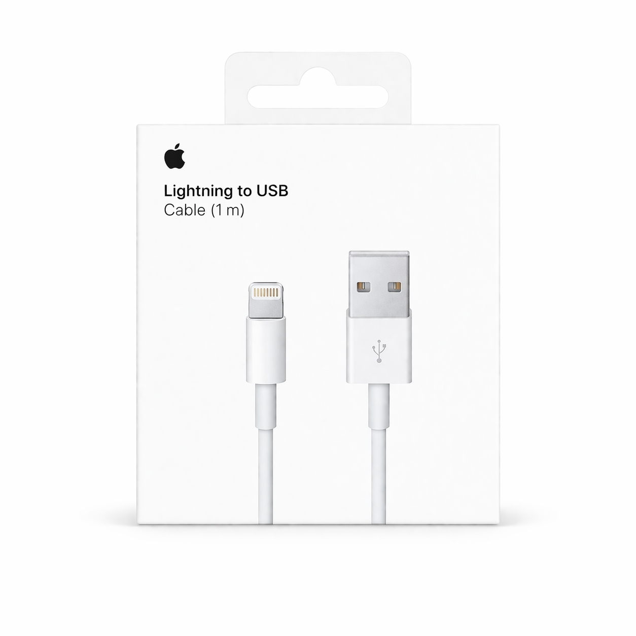Apple Lightning auf USB Kabel (1 m)